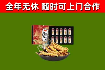 麒麟区回收冬虫夏草价格